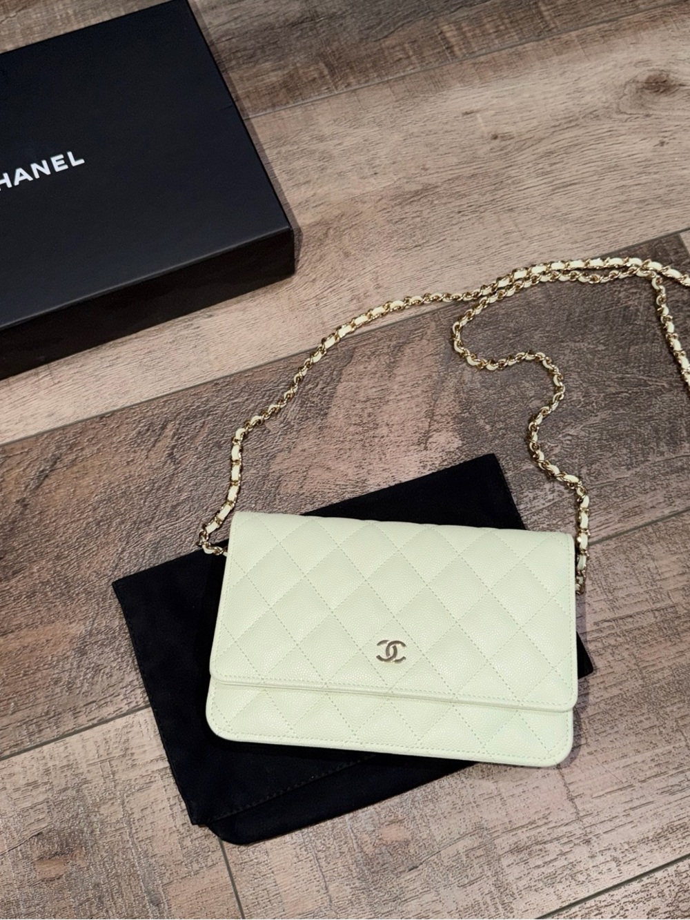 Chanel 22C Mint Green Quilted Wallet On Chain Bag - Picture 4 of 12